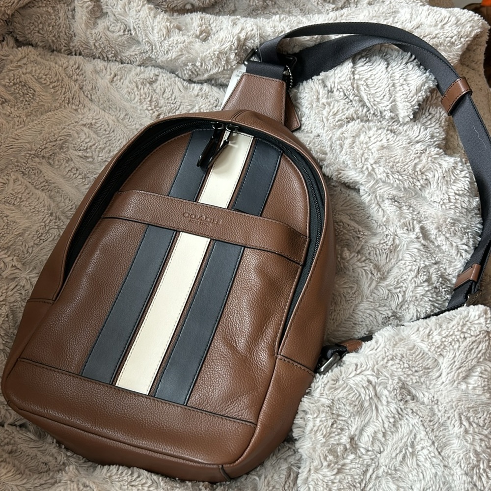 Charles Pack With Varsity Stripe - NWT - Picture 2 of 6